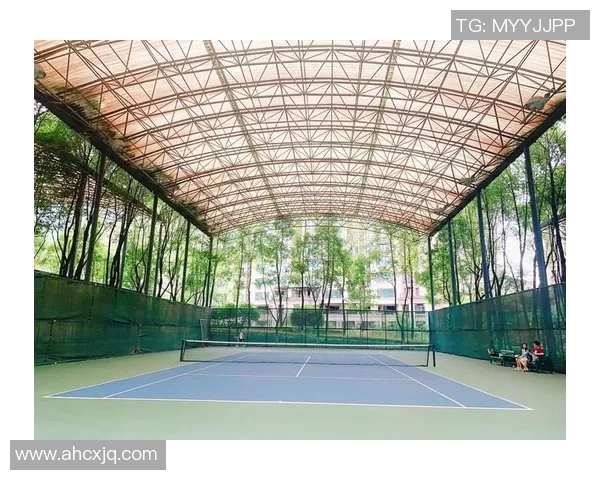 重庆网球队战术揭秘：网球巨献背后的策略与训练之道